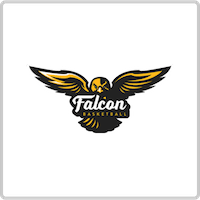 Cntractpedia-customer-Falcon